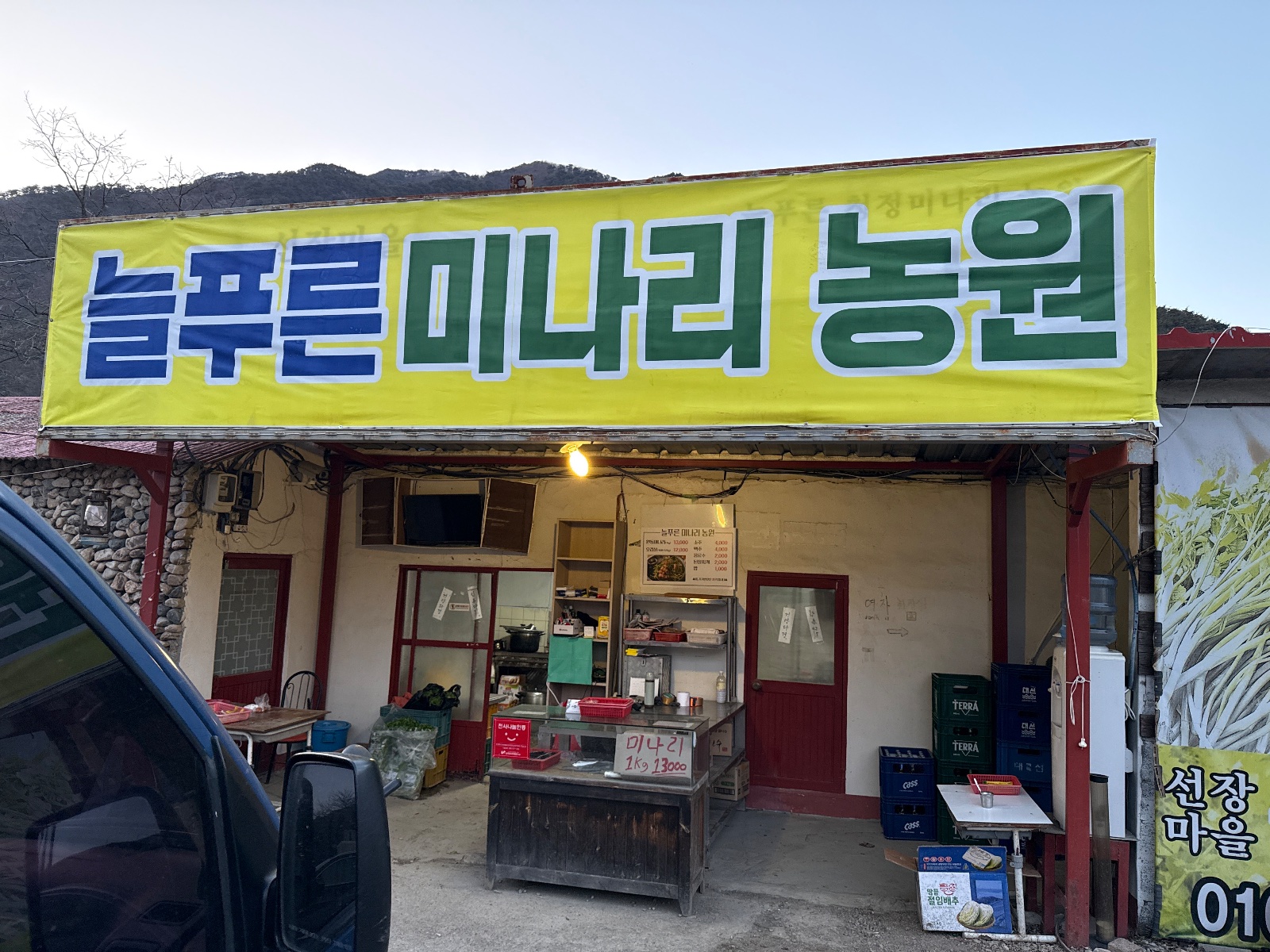 늘푸른 미나리 농원