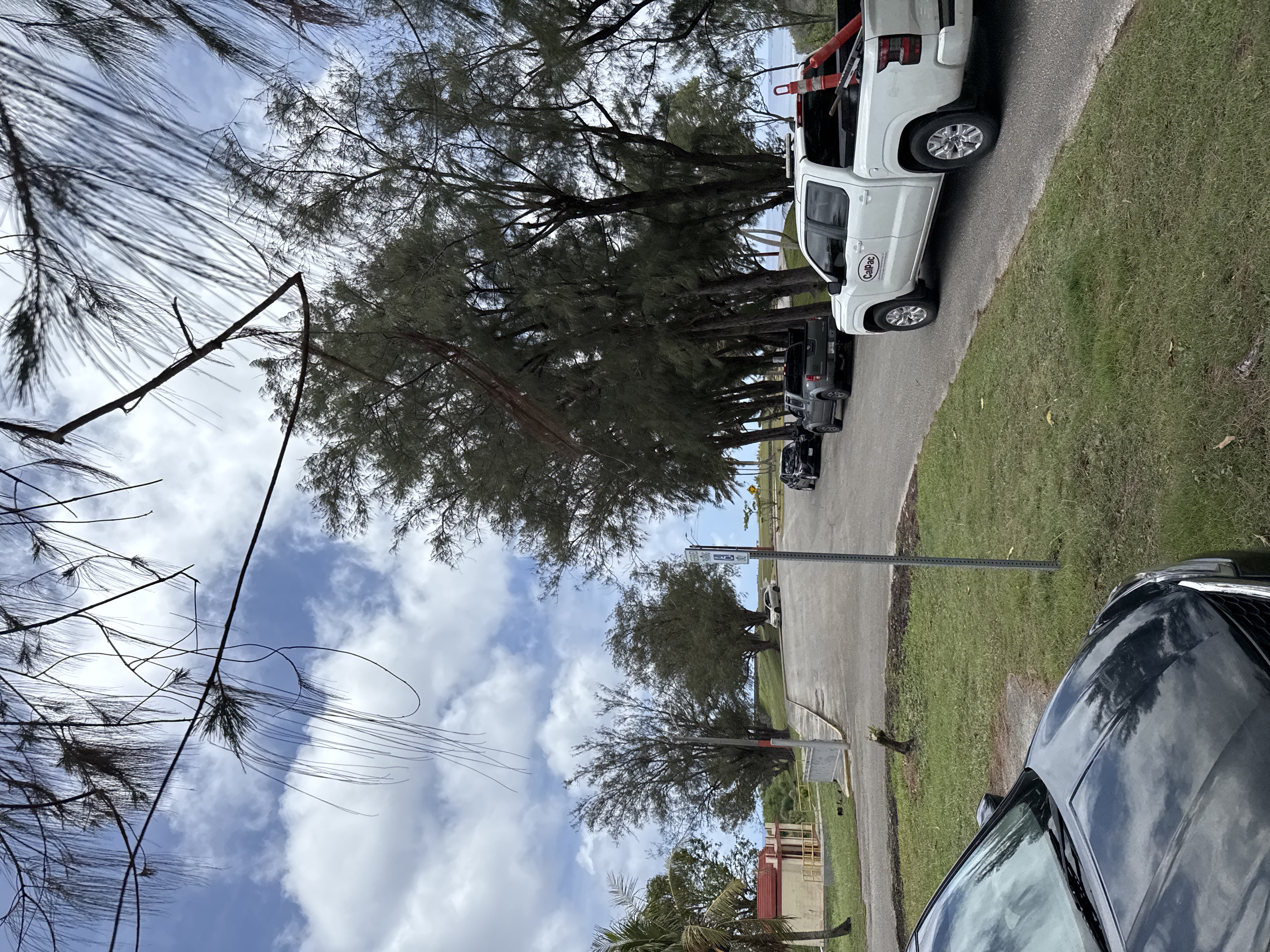 NEWBL 스팟